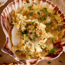 Close-up of baked scallops gratin served in their shells, topped with golden breadcrumbs, fresh parsley, and melted garlic butter.