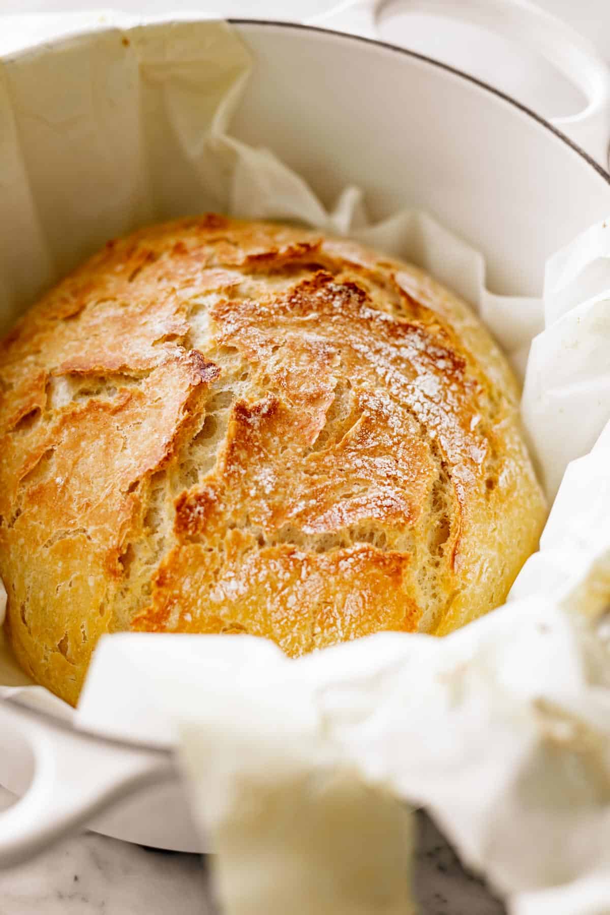 Easiest No-Knead Crusty Artisan Bread