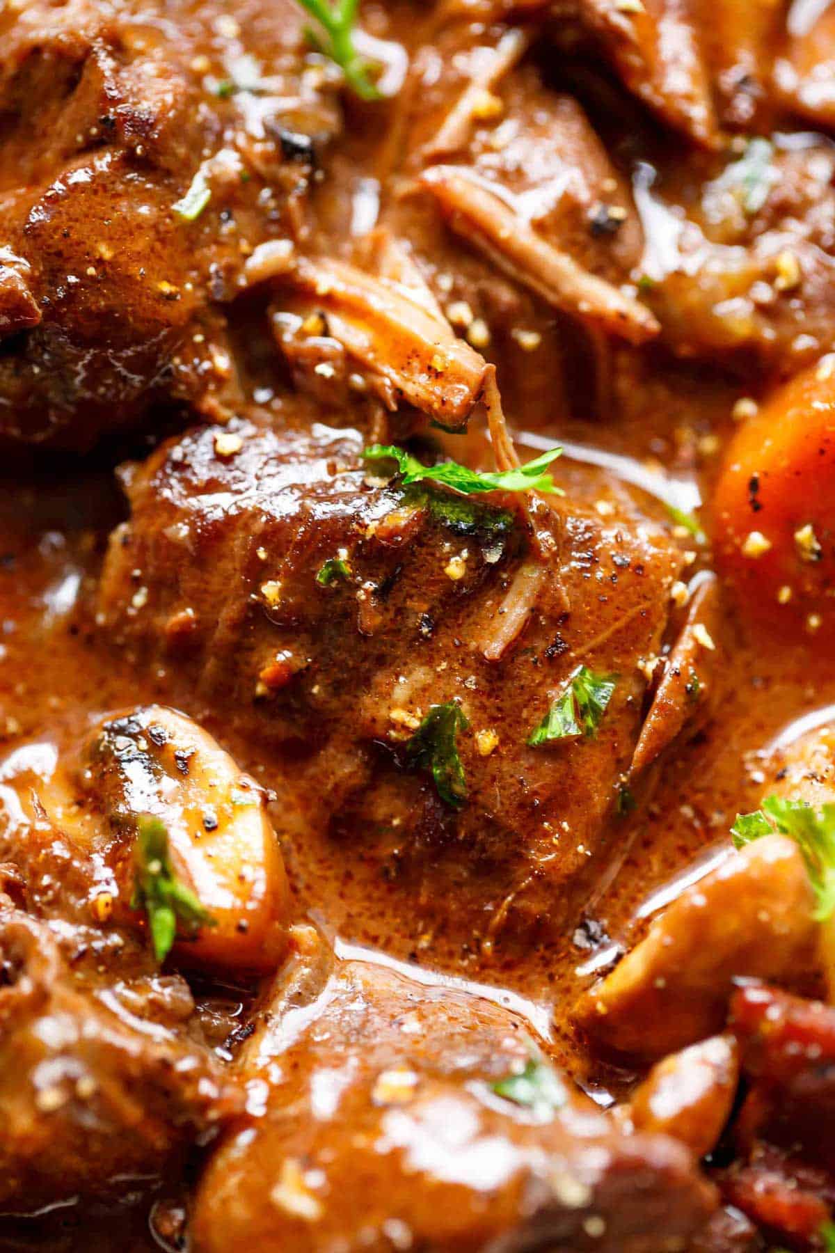 A close up image of a piece of tender fall apart beef pieces simmered in a rich red wine gravy with a white onion and carrots. Garnished with fresh chopped parsley.