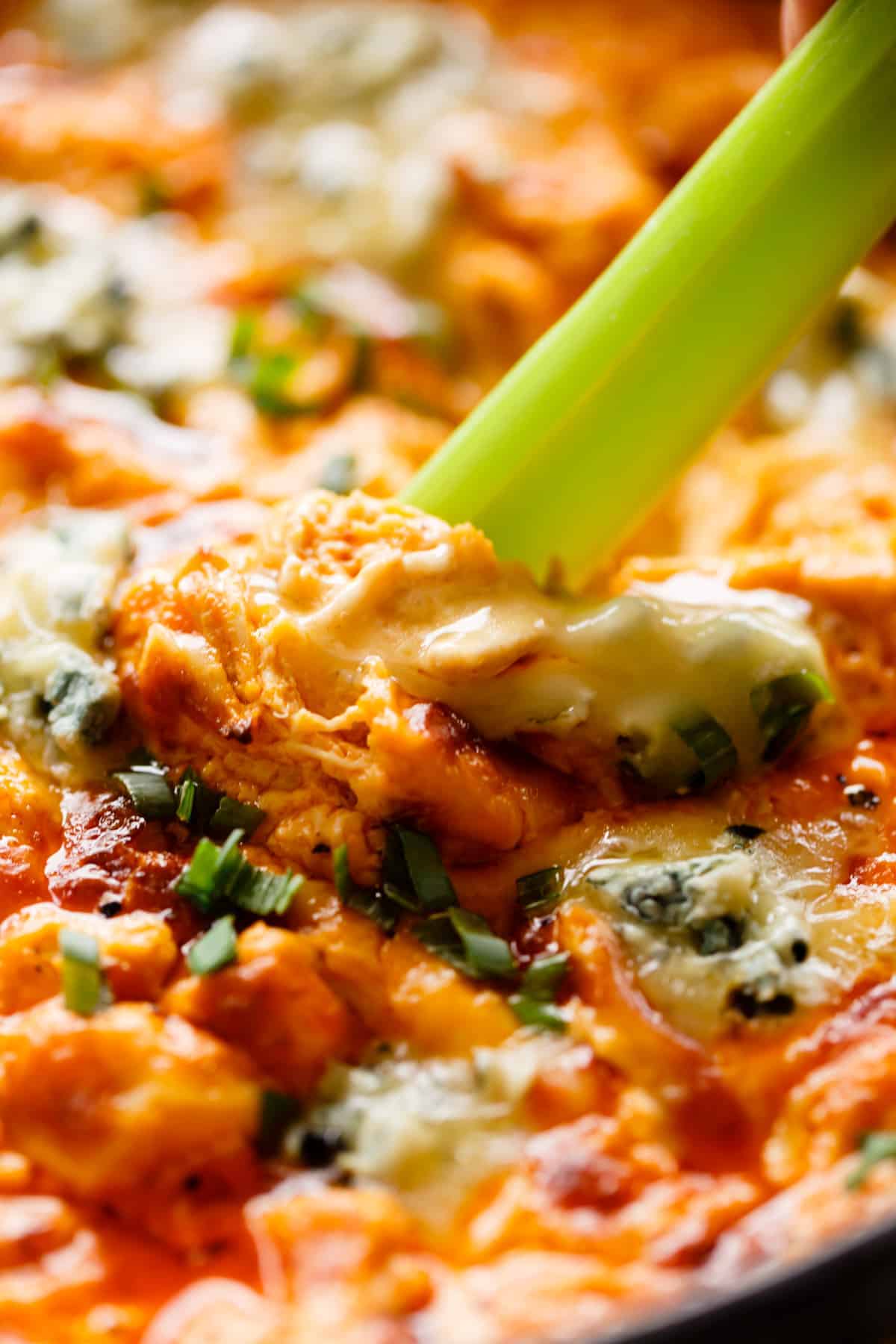 Celery dipped in buffalo chicken dip looks good
