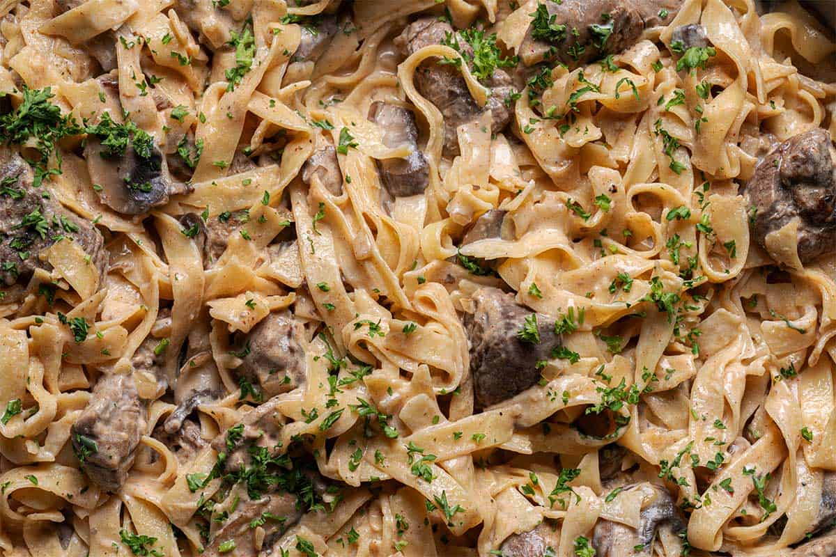 close up, beef stroganoff with pasta and mushrooms, garnished with cilantro