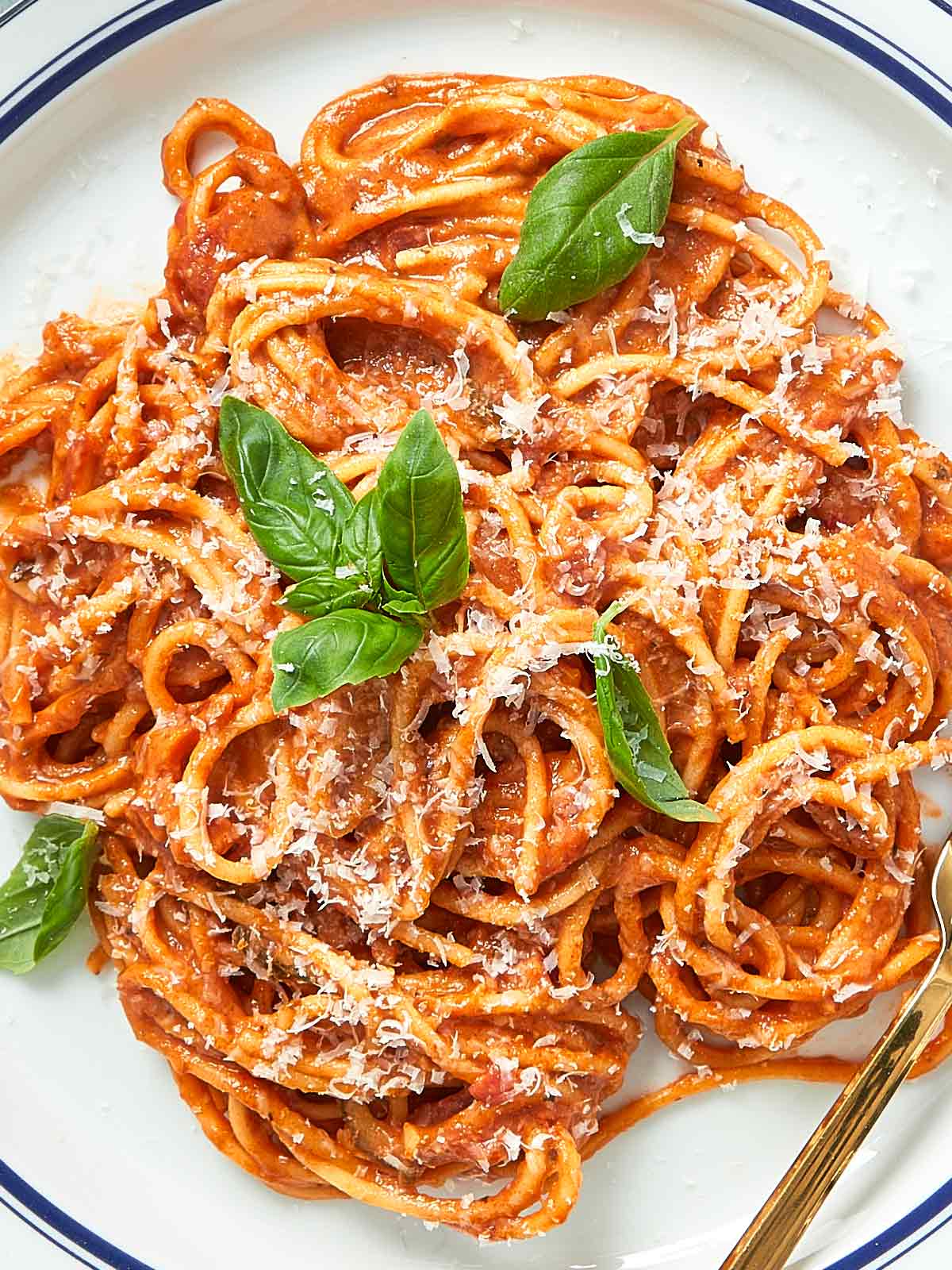 Creamy Tomato Pasta