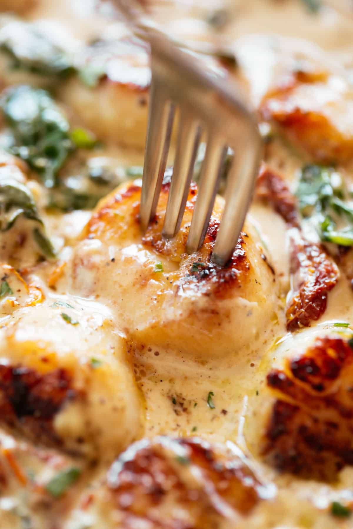 Scallops with a fork