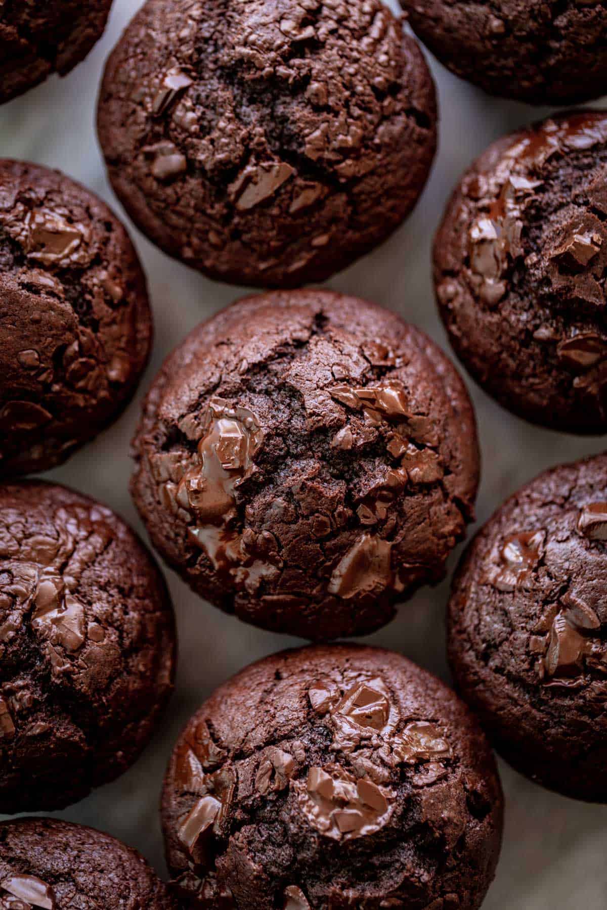 Double Chocolate Muffins