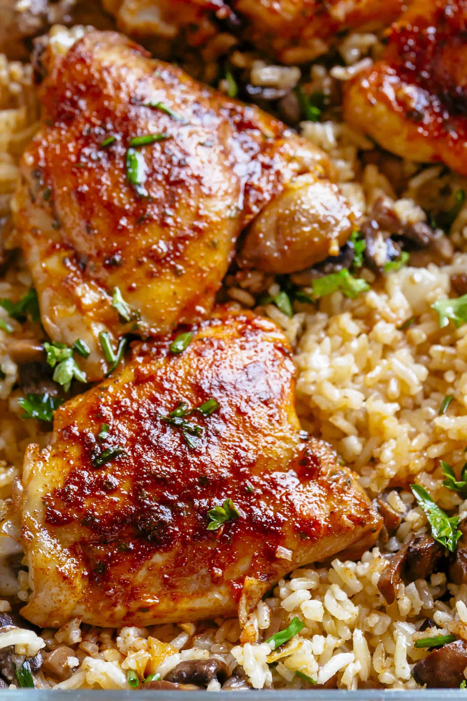 Close up image of crispy, golden chicken thigh on cooked mushroom and rice mixture with fresh herbs sprinkled on top.