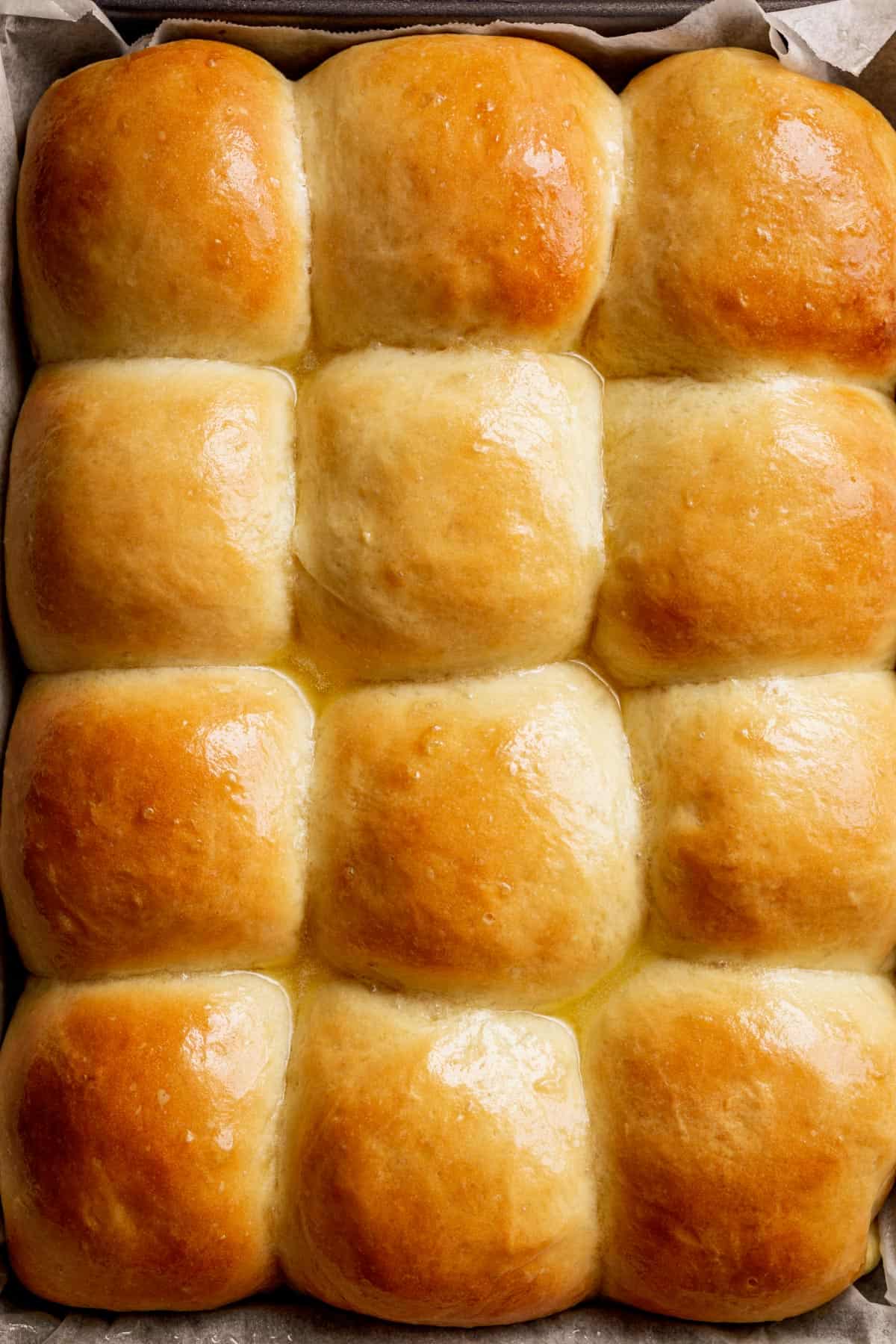 Soft Dinner Rolls (NO MIXER + EGG FREE)