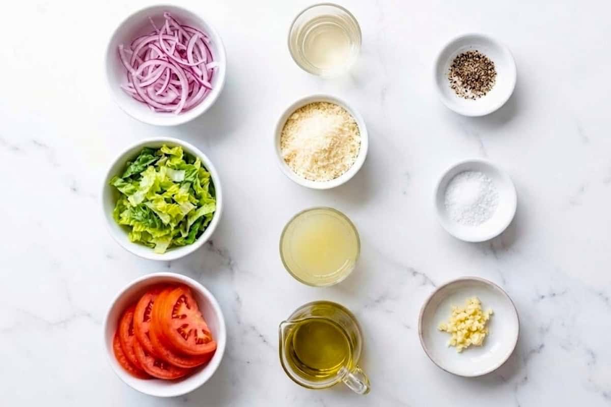 Flat lay of ingredient shot of red onions, parmesan cheese, tomatoes, romaine lettuce, olive oil, white vinegar, white vinegar, garlic, salt, pepper, lemon juice to make an easy tomato salad
