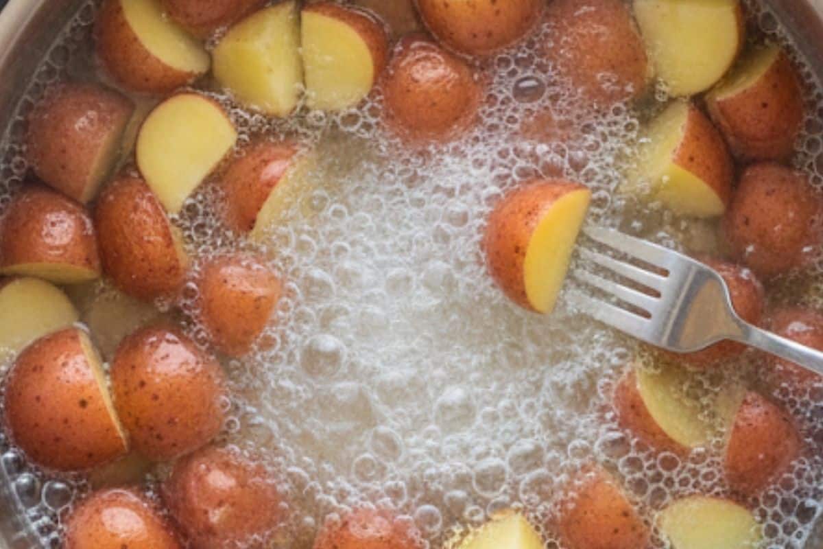 Place the baby red potatoes in a large pot of salted water and bring to a boil. Reduce the heat to medium and simmer until fork tender.