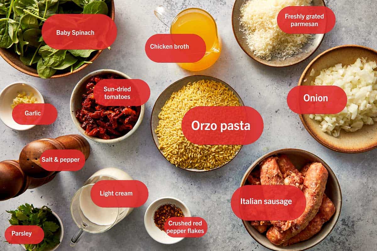 Overhead flat lay of labeled ingredients for creamy Italian sausage orzo: uncooked orzo pasta, Italian sausage, baby spinach, sun-dried tomatoes, diced onion, minced garlic, chicken broth, light cream, freshly grated Parmesan, crushed red pepper flakes, fresh parsley, and salt and pepper.