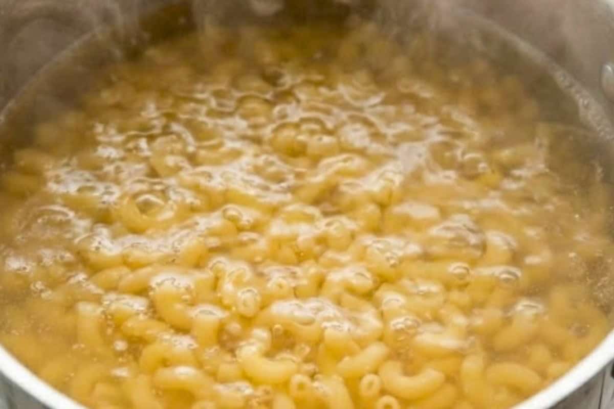 Boil and cook the macaroni until just al dente