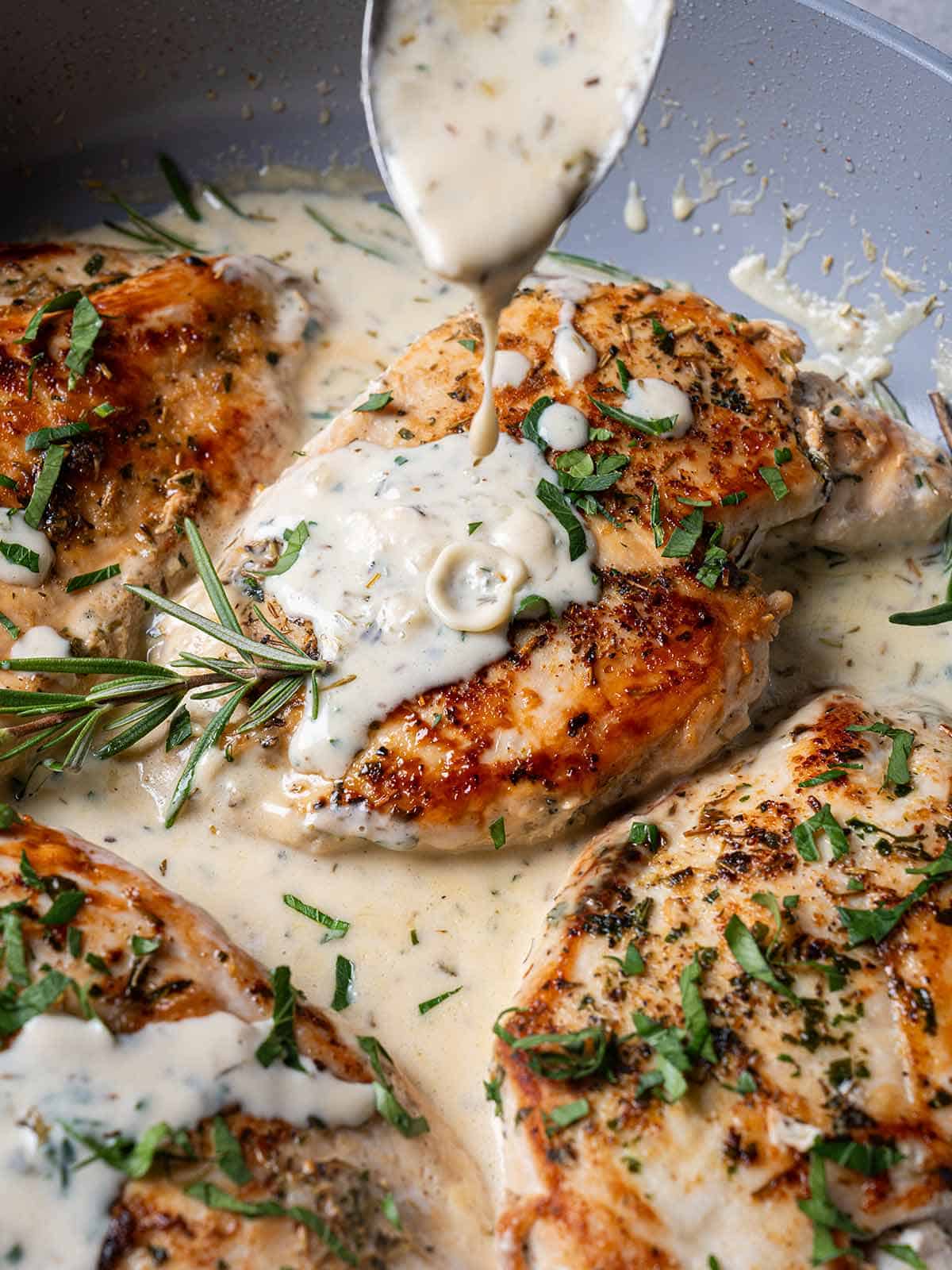 Creamy Chicken and Herbs
