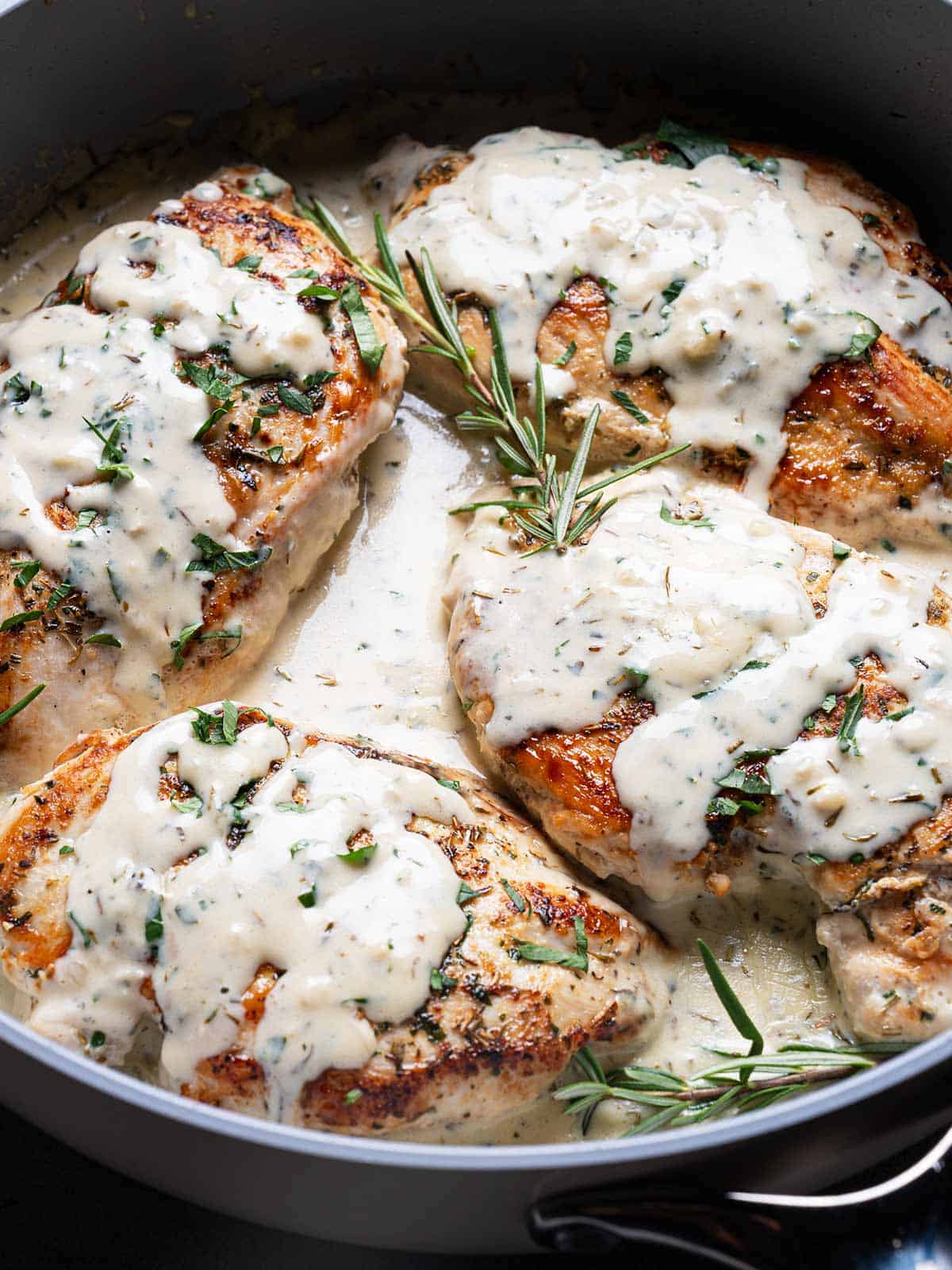 Top view image of creamy chicken with herbs in a good, velvety sauce.