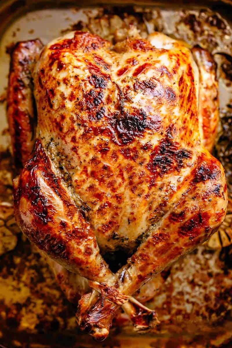 Roast Turkey