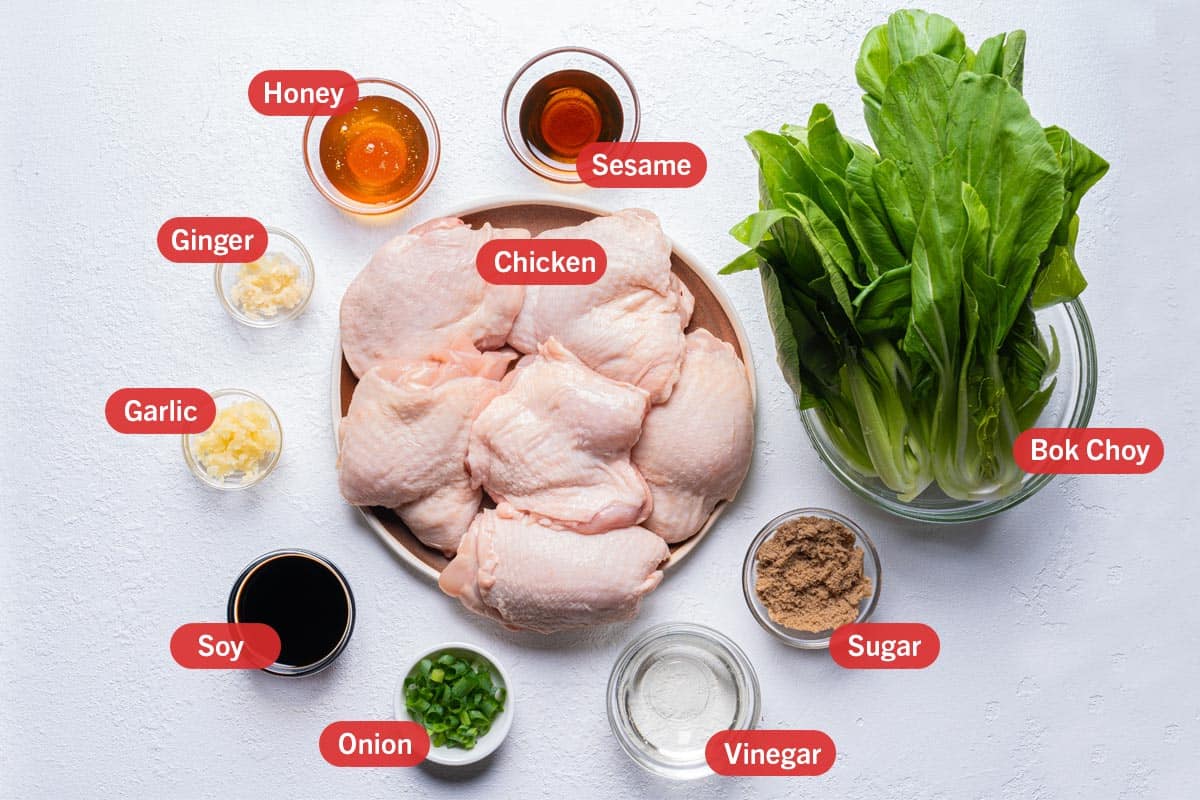 Ingredients laid out against a white background. chicken, honey, sesame, bok choy, sugar, vinegar, onion, soy, garlic, ginger