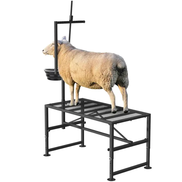 Adjustable 600 lb Goat Milking & Trimming Stand with Feed Bin
