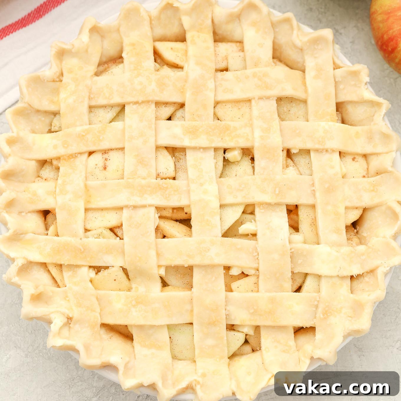 featured 17961