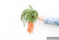 Canada’s Food Guide 2019: The Essentials