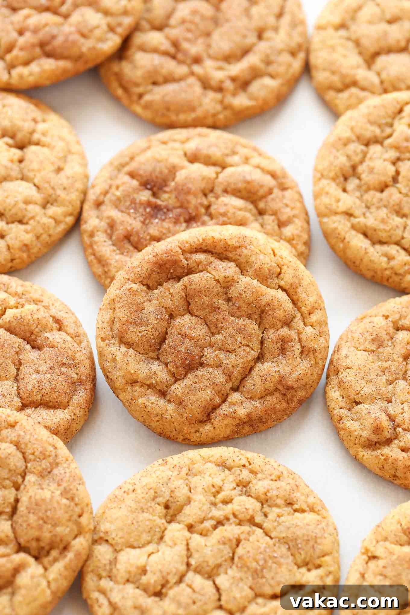 Spiced Pumpkin Snickerdoodles 2 Several soft and chewy pumpkin snickerdoodles arranged artfully on a piece of white parchment paper, glistening with cinnamon sugar.