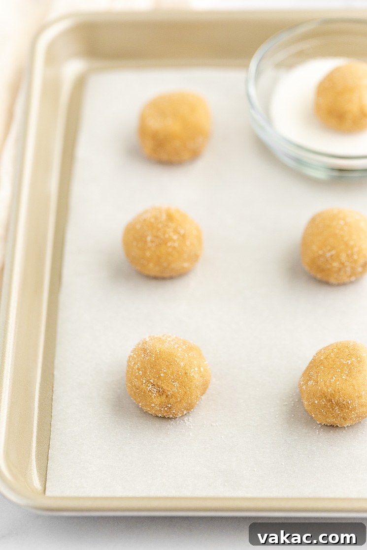 A baking sheet lined with parchment paper and cookie dough balls covered in sugar on the pan.
