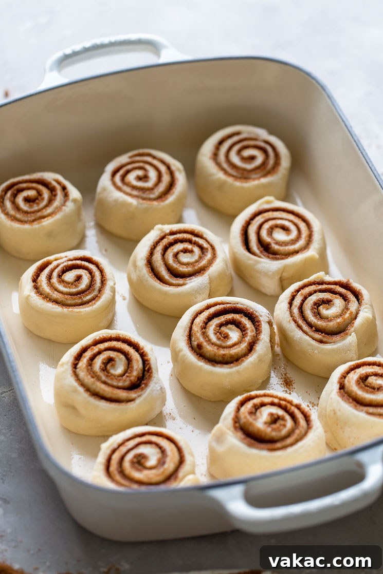 Cinnamon rolls that have been cut and neatly placed into a baking pan, ready for their second rise.