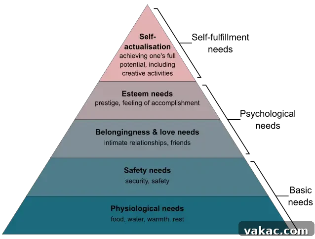 Kalori Saymak Neden İşe Yaramaz? 3 Şaşırtıcı Gerçek ve Alternatif Yöntemler 3 An image of Maslow's Hierarchy of Needs in a pyramid format, illustrating fundamental human needs.