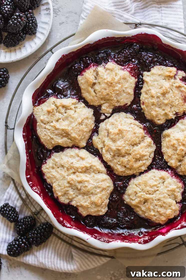 A finished blackberry cobbler in a round baking dish with extra blackberries around it, showcasing its golden-brown biscuit topping.