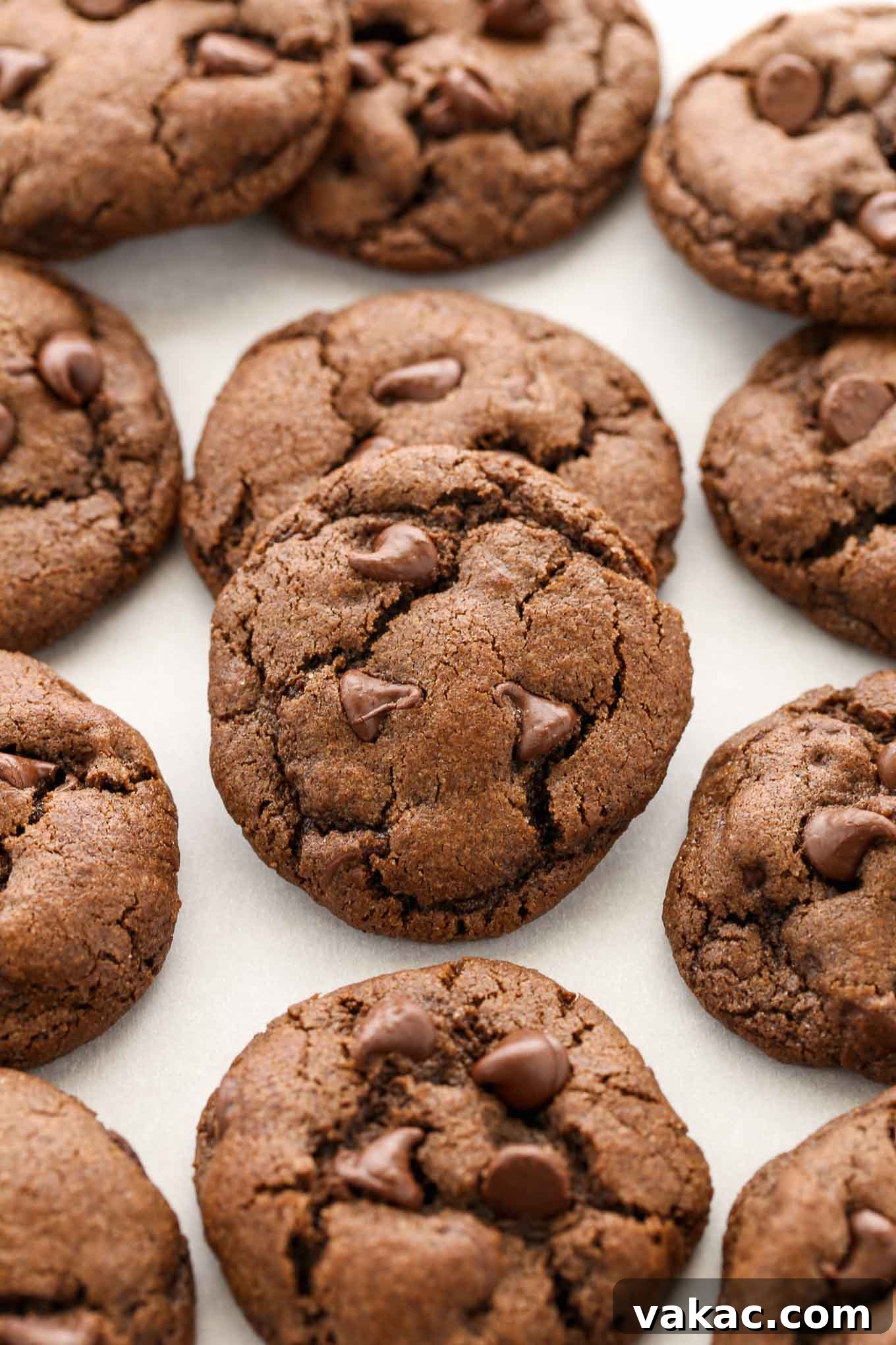 Decadent Double Chocolate Delights 6 Rows of freshly baked double chocolate cookies cooling on a piece of parchment paper, showcasing their deep color and inviting texture.