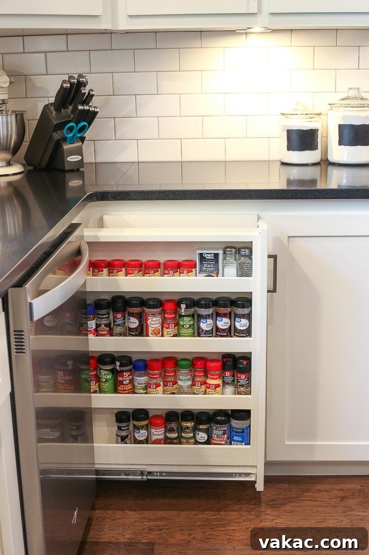 Our New Home Tour and Life Lately 7 A slim pull-out spice rack drawer located beside the dishwasher, showcasing an organized collection of spices for easy access while cooking.