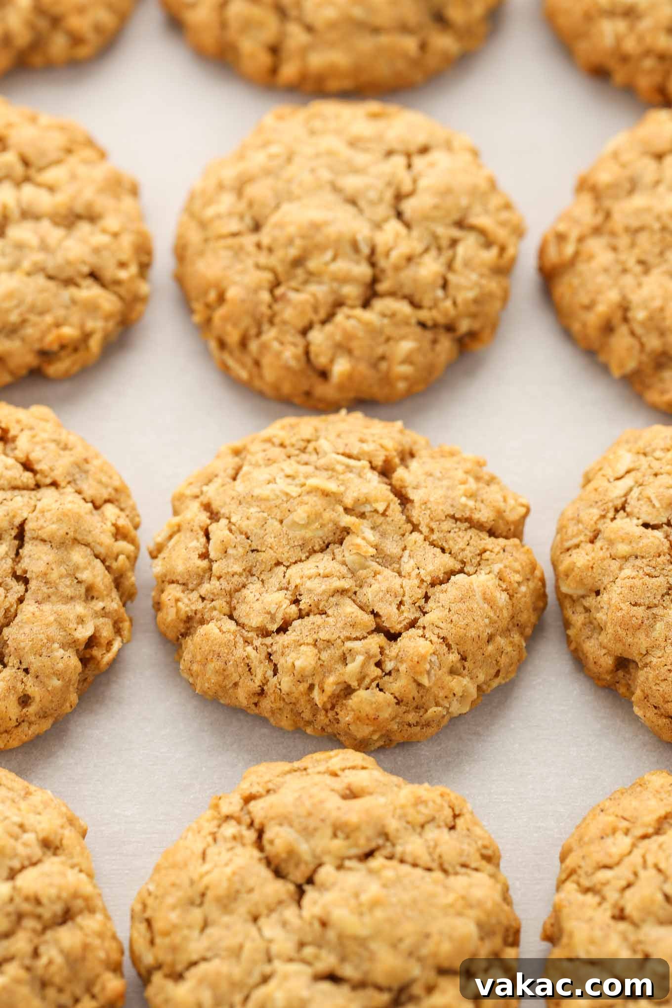 Close-up of freshly baked pumpkin oatmeal cookies, highlighting their soft, chewy texture and delicious appearance.