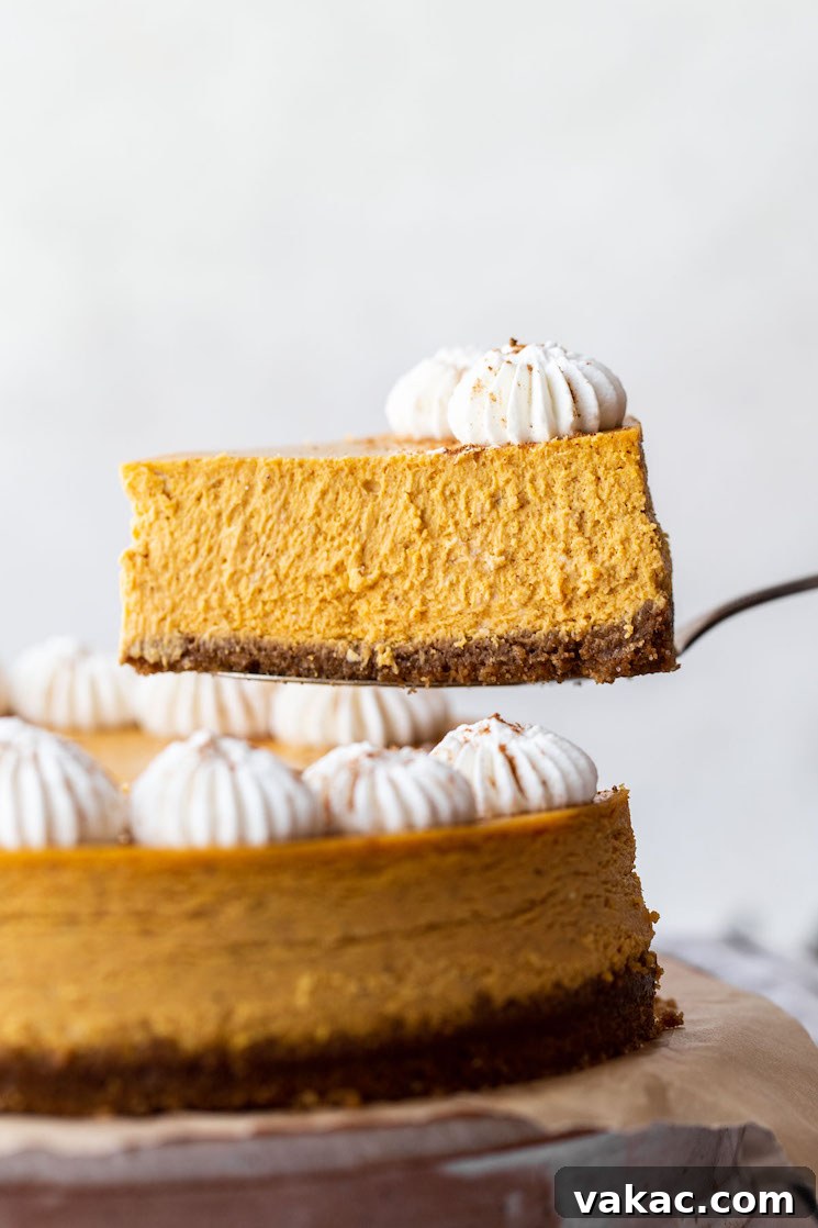 Spiced Pumpkin Indulgence 7 A single piece of pumpkin cheesecake being lifted away from the rest of the cheesecake showing the creamy texture and delicious gingersnap crust.