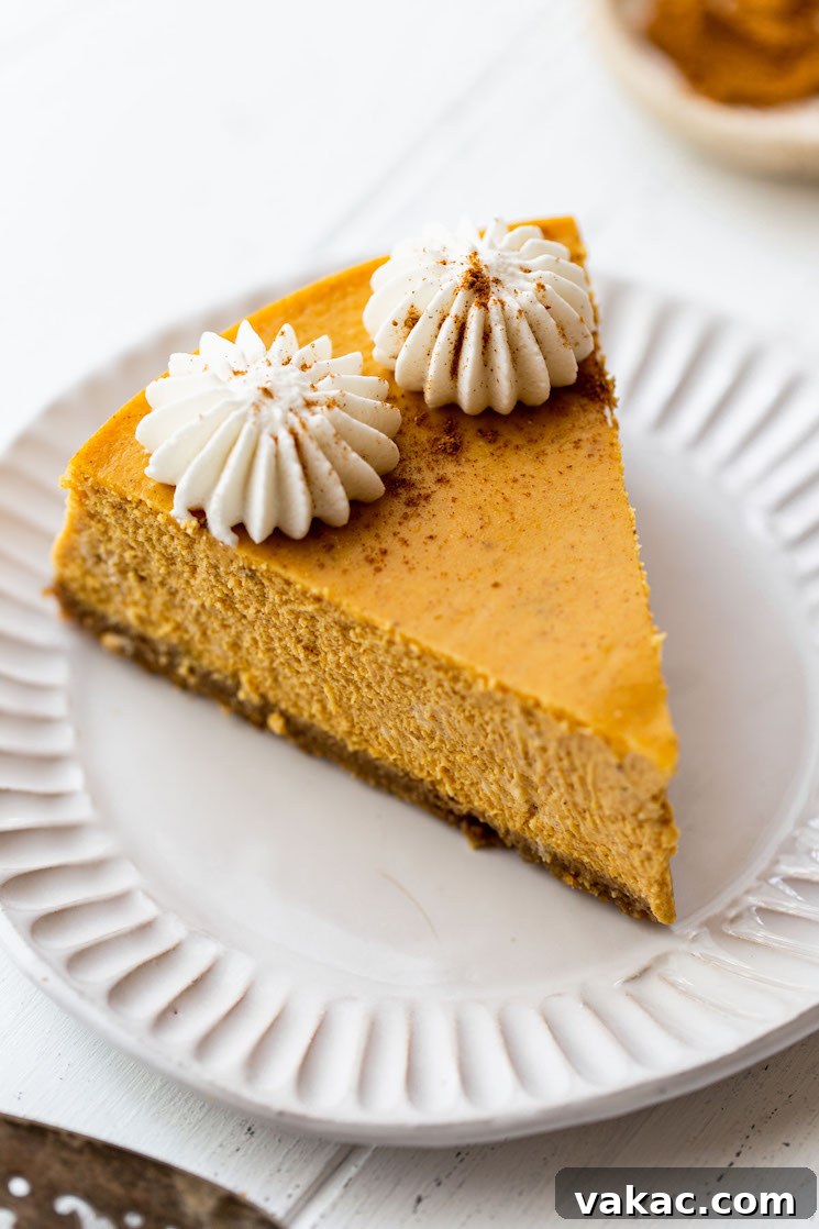 Spiced Pumpkin Indulgence 8 A single piece of cheesecake on a white plate topped with whipped cream and cinnamon, ready to be enjoyed.