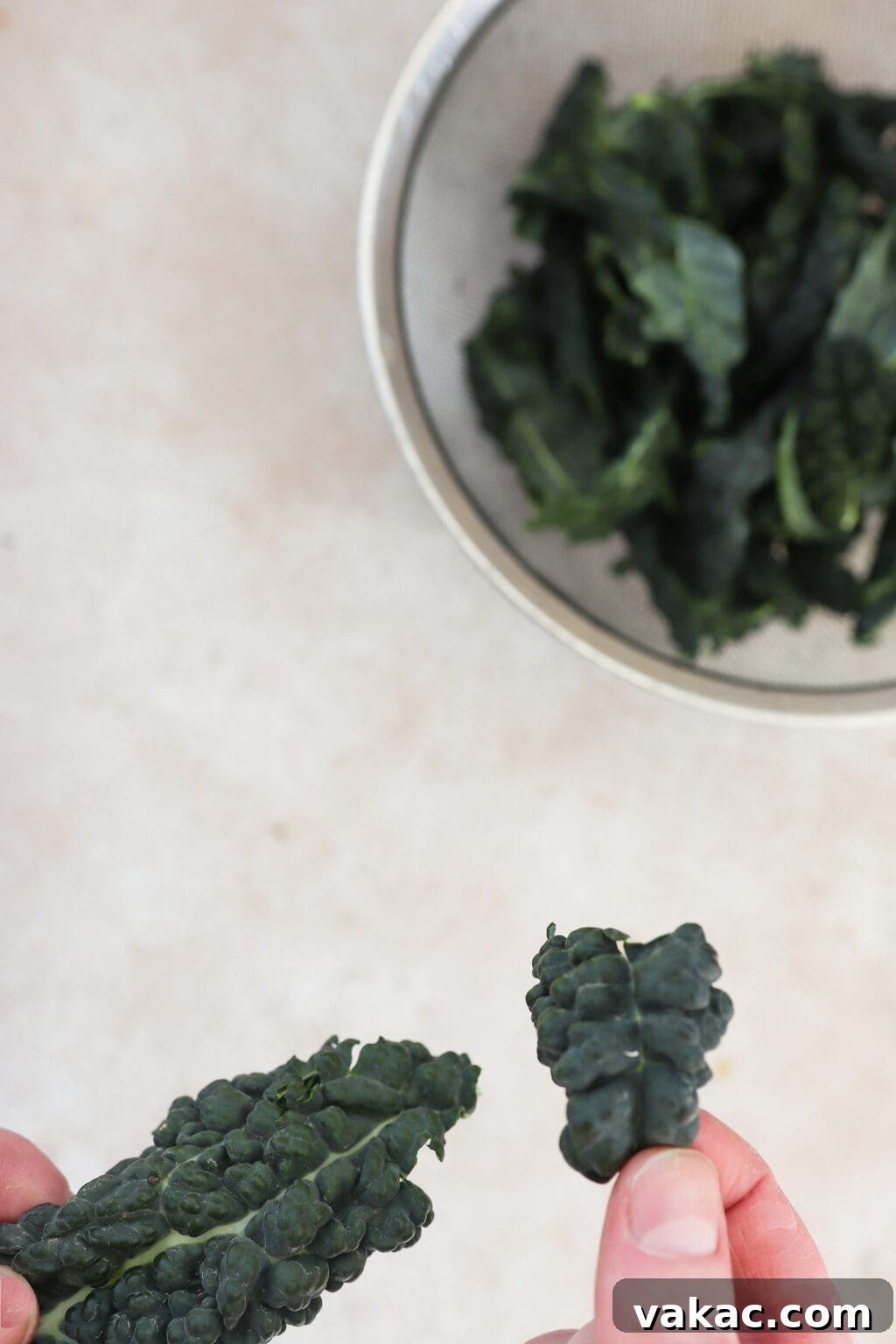 A hand tearing a piece of dino kale leaf from its stem, with more kale in a strainer in the background.