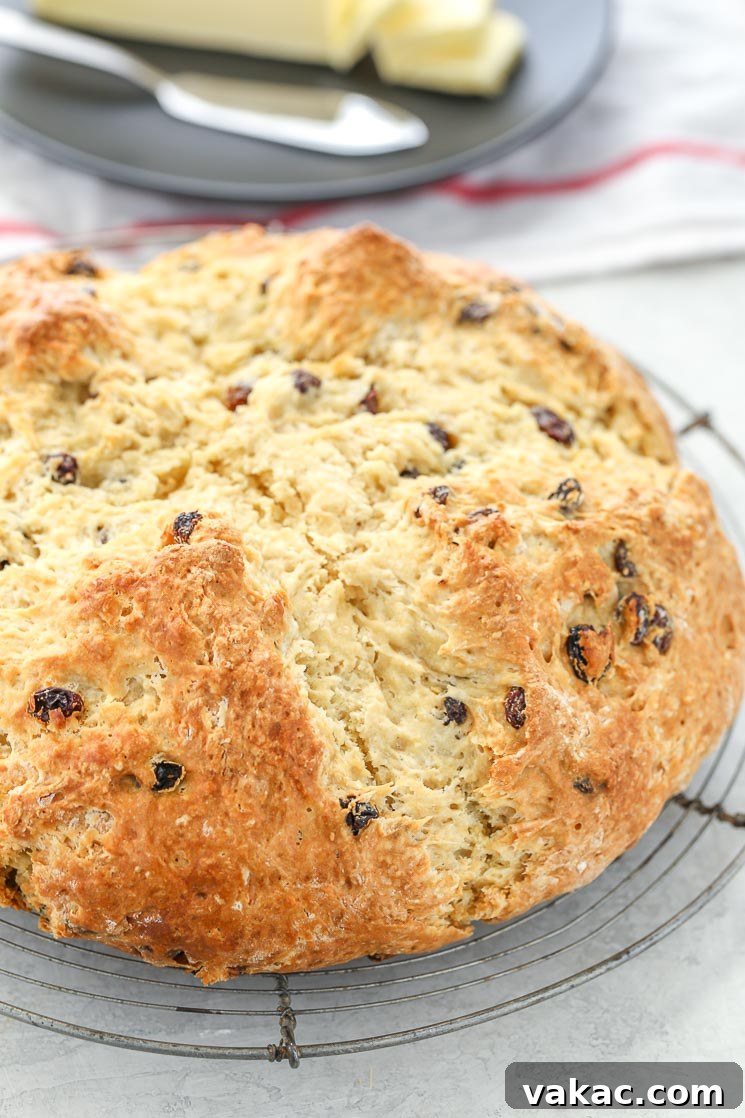Traditional Irish Soda Bread 2 A round loaf of Irish Soda Bread with raisins on top of an antique round cooling rack. There is a black plate with sliced butter in the background.