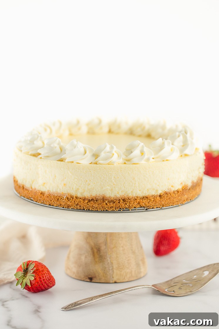 Grandma's Classic Cheesecake 2 A cheesecake topped with whipped cream on top of a marble cake stand.