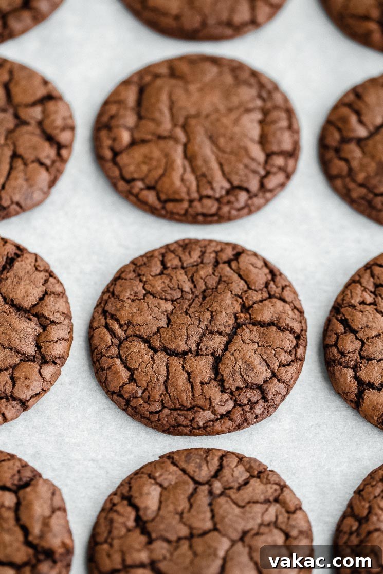 Decadent Brownie Cookies 6 Baked cocoa powder cookies lined up on a baking sheet lined with parchment paper.
