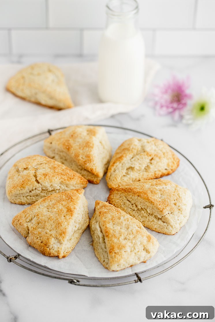 Perfectly Fluffy Scones 2 A cooling rack displaying freshly baked scones arranged in a circle, with a glass of milk and elegant flowers in the soft-focus background. These golden-brown, fluffy scones are ready to be served.
