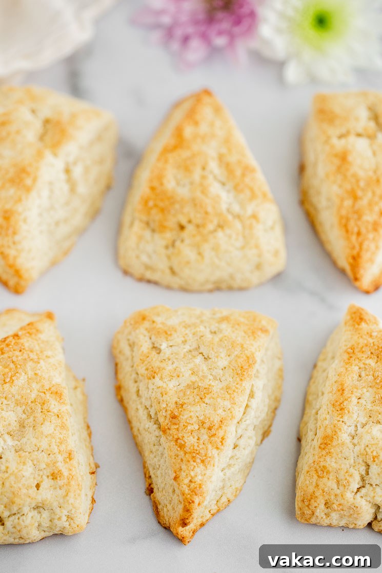Perfectly Fluffy Scones 6 A perfectly arranged line of finished plain scones, showcasing their beautiful golden-brown crust and inviting texture, presented on an elegant marble surface. These are ready for glazing or serving.