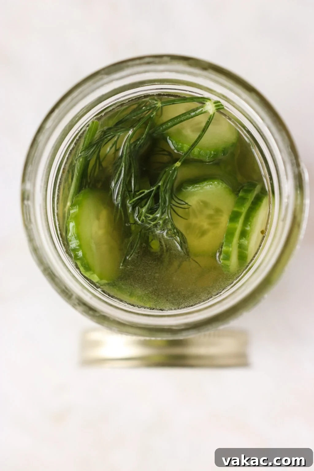 Zesty Apple Cider Vinegar Dill Pickles 5 Apple Cider Vinegar Cucumber Pickles with Dill in a pickle jar
