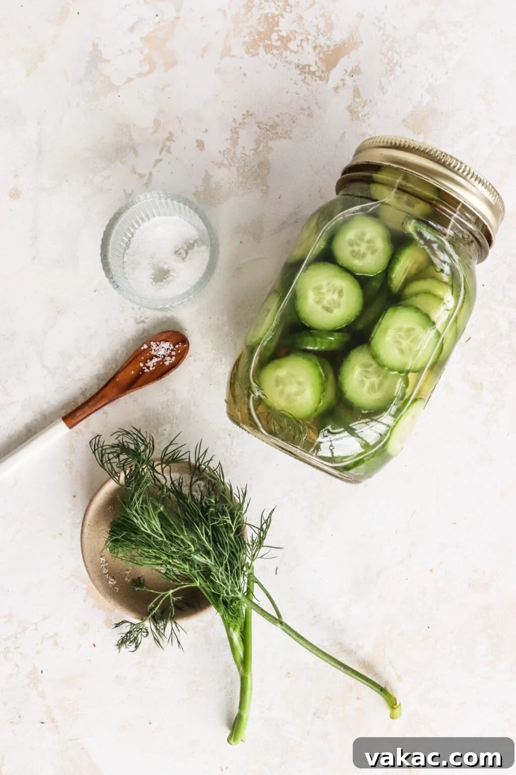 Zesty Apple Cider Vinegar Dill Pickles 7 Apple Cider Vinegar Cucumber Pickles with Dill in a pickle jar with a spoon, dill, and salt on the side