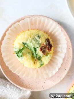 Individual Egg Bites with Cottage Cheese, Spinach & Sun-dried Tomatoes on a pink plate, garnished with fresh herbs