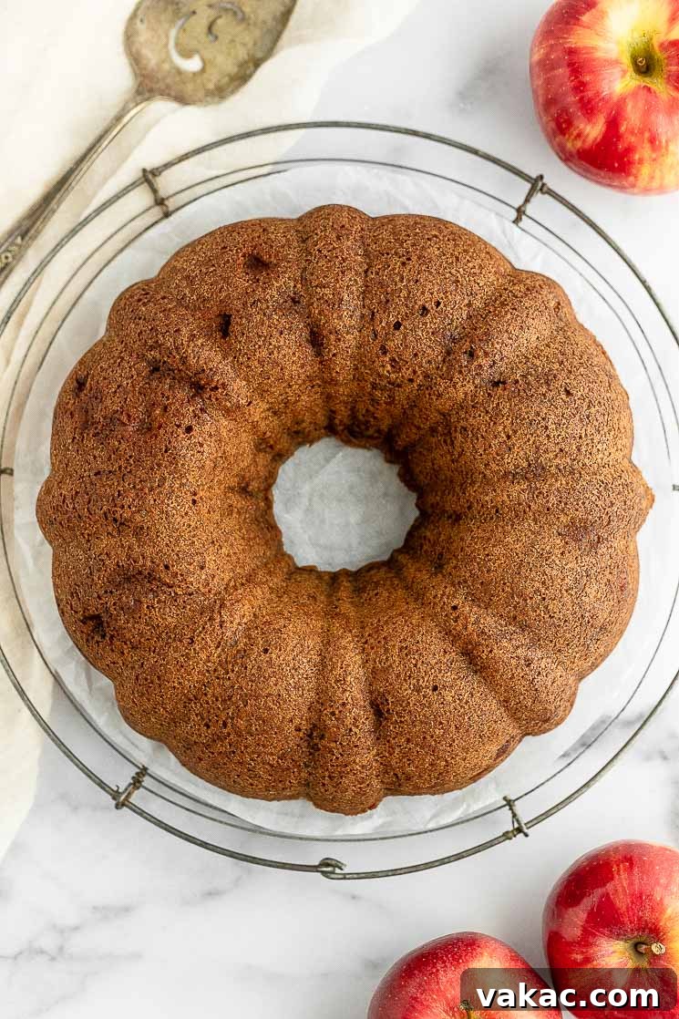 A freshly baked apple cake cooling gracefully on a round wire rack, its rich golden-brown crust hinting at the deliciousness within.