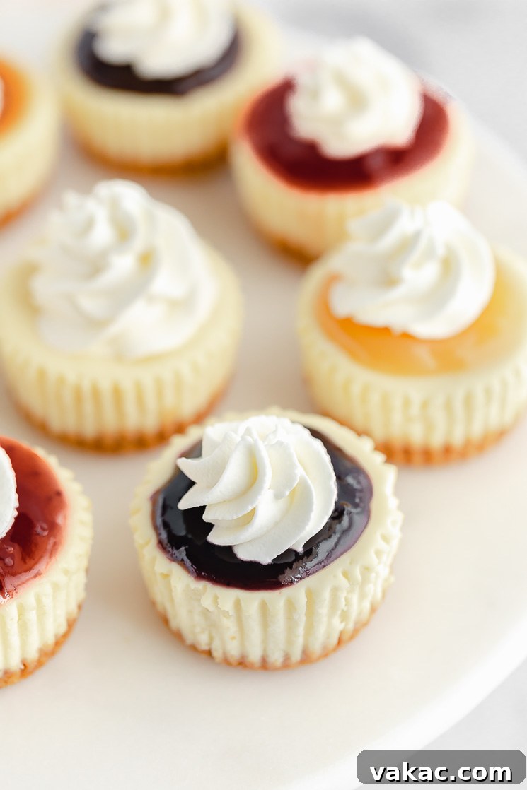 Bite Sized Cheesecake Delights 5 A close up image of mini cheesecakes showing the different toppings on them.