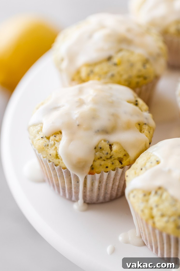 Zesty Lemon Poppy Seed Muffins 5 A close-up shot of several freshly baked Lemon Poppy Seed Muffins, artfully drizzled with a simple, glistening lemon glaze, highlighting their irresistible texture and topping.