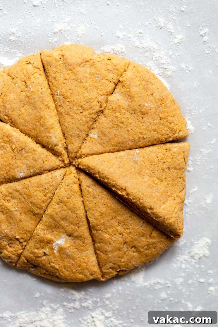 Spiced Pumpkin Delights 5 Scone dough expertly formed into a uniform disk and precisely cut into eight equal triangular pieces, ready for baking.