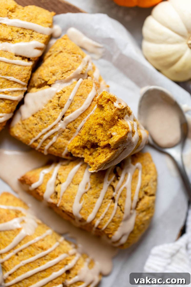 Spiced Pumpkin Delights 7 A freshly baked pumpkin scone, gently broken in half, revealing its light, fluffy, and tender interior texture.