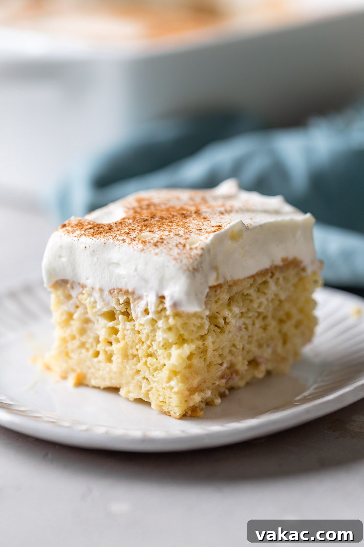 A beautifully presented slice of homemade tres leches cake on a pristine white plate, with a soft blue towel artfully draped in the background. The cake glistens with moisture and the whipped cream topping is perfectly piped.