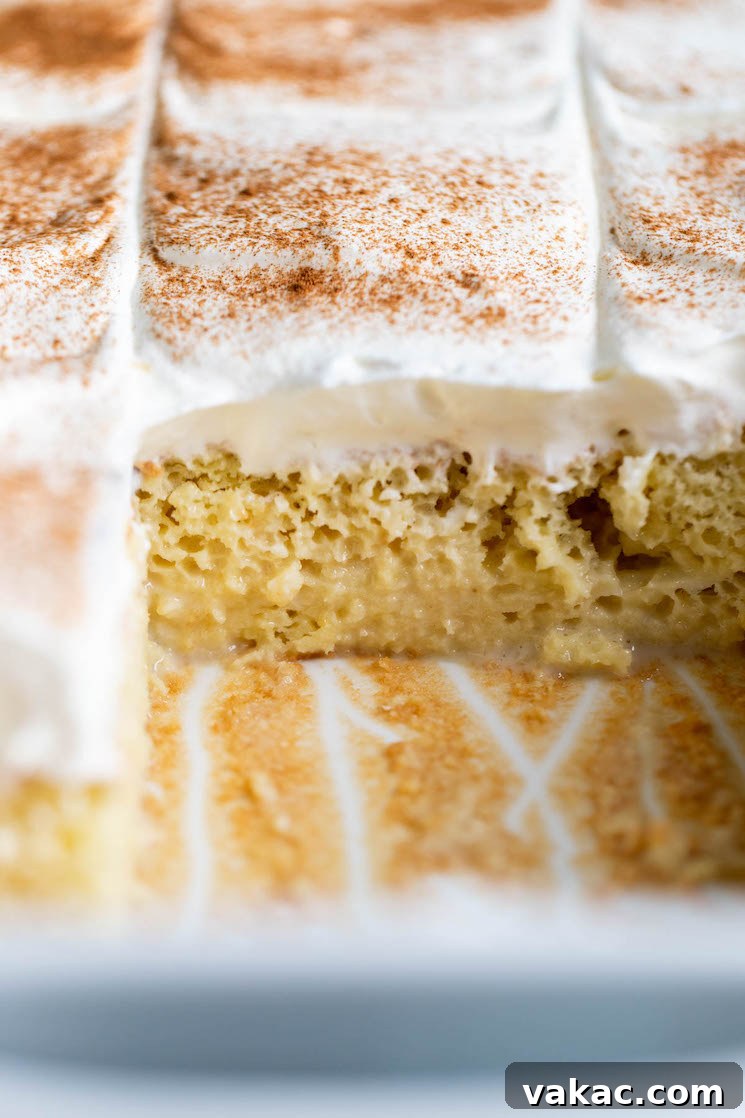 An inviting overhead view into a baking pan filled with a freshly made Mexican tres leches cake, with two slices already removed, revealing the moist interior and generous milk soak.
