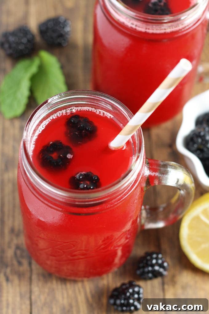 Midnight Bramble Quencher 4 Pitcher of Fresh Blackberry Lemonade with Glasses and Garnishes