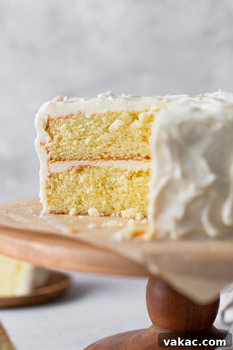 A perfectly frosted two-layer vanilla cake adorned with creamy vanilla buttercream, viewed from the side on an elegant cake stand. A delicious slice has been neatly removed, showcasing its fluffy, tender interior.