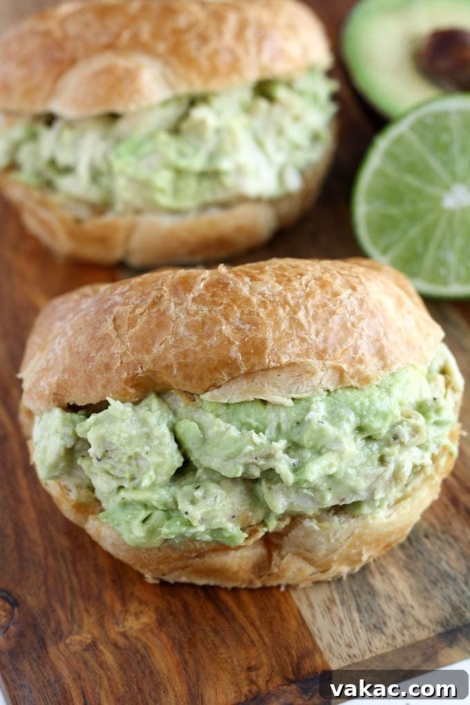 Tropical Mango Guacamole 6 Avocado Chicken Salad